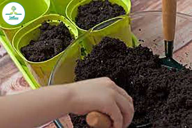 potting-soil