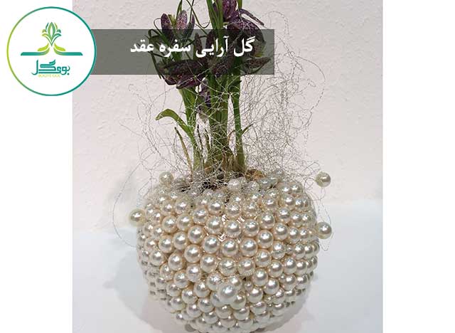  table-nature-white-flower-floral-celebration-